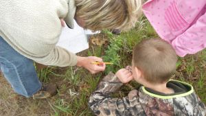 A teacher and two young children examine a plant outside.