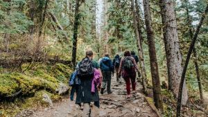 Group of students hiking a forest trail