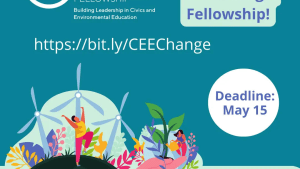 CEE-Change Fellowship graphic