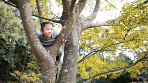 Kid in a tree with golden leaves. Fall time.