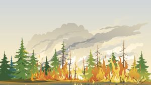 illustration of green trees, yellow and orange fire, grey and beige smoke