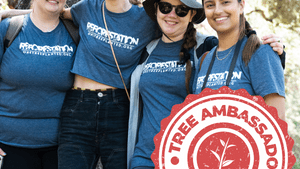 Tree Ambassadors