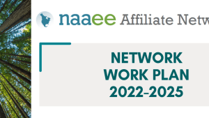 A screenshot of the front page of the Affiliate Network Work Plan