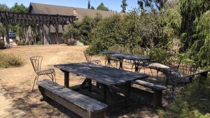 Patio with benches, tables and chairs. In the background a building. Location: UC-Santa Cruz Arboretum