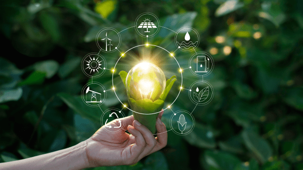 hand holding illuminated leaf with icons around it