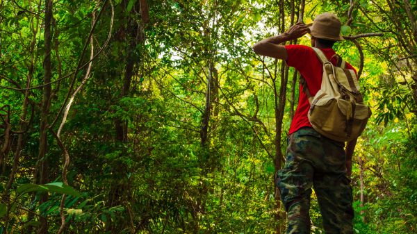 young backpacker looking at forest