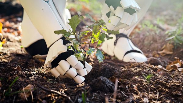 Robot arm planting a seedling