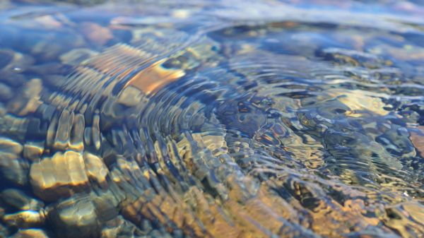 A number of smooth stones sit beneath rippling water