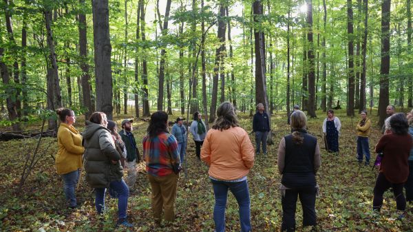 FFEC A group of people stand in a circle on a leafy forest floor; behind them are number of trees with green leaves