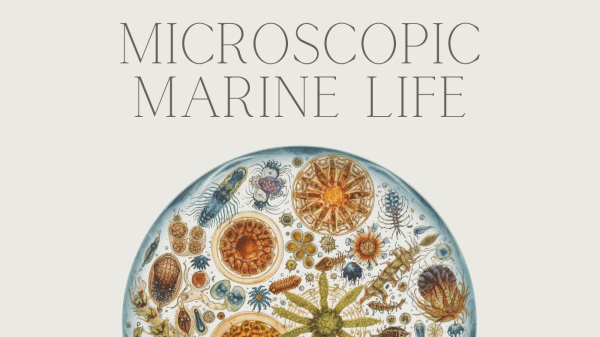 Colorful illustration of microscopic marine life, featuring various tiny ocean organisms such as phytoplankton, zooplankton, and bacteria, depicted in vibrant hues and intricate patterns, emphasizing their importance in marine ecosystems.