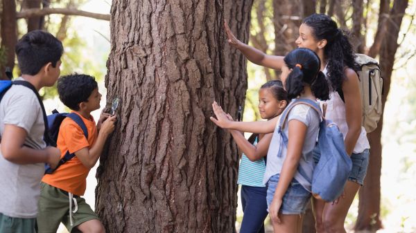 Teacher and children touching tree trunk in forest