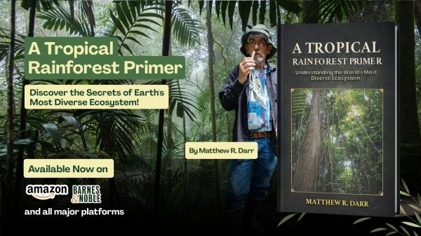 A Tropical Rainforest Primer- Book for Sale-Rainforest Background 