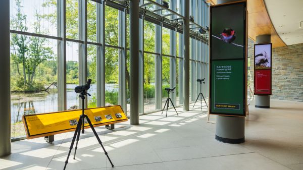Cornell Lab of Ornithology Visitor Center in Ithaca, NY A tall open space with concrete floors and tall glass windows that overlook a pond. Scopes on stands and signage on birds stand in front of the windows.