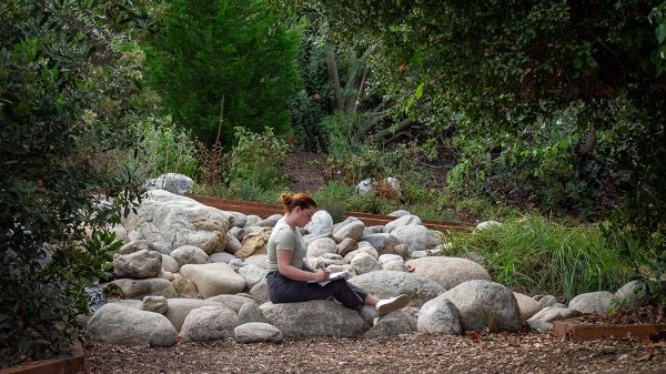 A person sits atop a large stone and writes in a notebook, surrounded by a patch of other large stones. Green foliage frames the person on all sides.