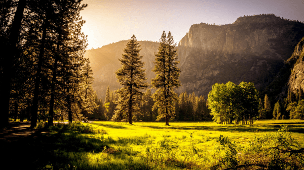 2026 Coalition for Education in the Outdoors Research Symposium Call for Abstracts A sunsetting day with trees growing out of a green grassy area; in the background is a mountainous outcropping and clear sky