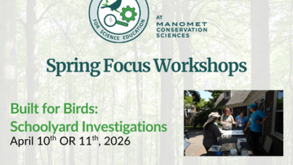 Text reads "Spring Focus Workshops, Built for Birds: Schoolyard Investigations, Building the Storyline: Ecosystems & Interactions"