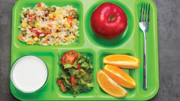 Green cafeteria tray with rice, an apple, a salad, orange slices, and a fork
