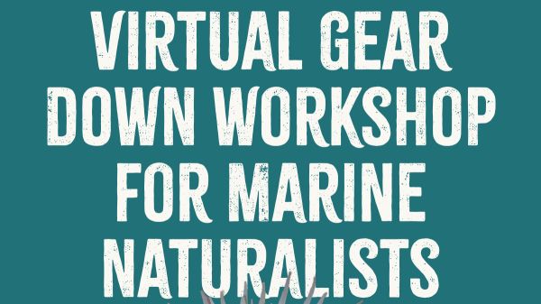 TWM's 2023 virtual Gear Down Workshop for Marine Naturalists TWM's 2023 virtual Gear Down Workshop for Marine Naturalists