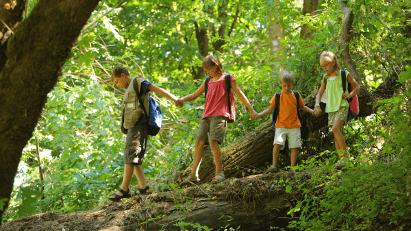 A Forest Days Handbook Four children hold hands and walk along a fallen tree; a green forested area is behind them