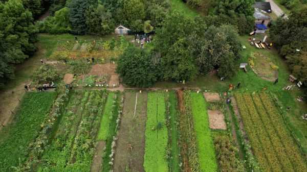 drone picture of a Global Field, field with many plots