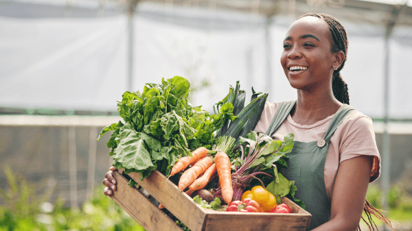 Ag Explorer Resources A person inside a greenhouse holds a crate full of vegetables including carrots, lettuce, and peppers