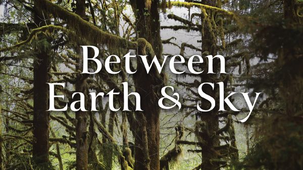 Between Earth & Sky Text reads "Between Earth & Sky" over a background of forest trees
