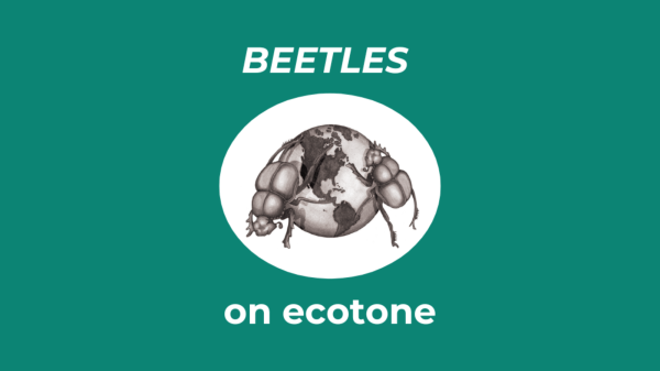 BEETLES on Ecotone BEETLES logo of two beetles climbing over a small globe; text says "BEETLES on ecotone"