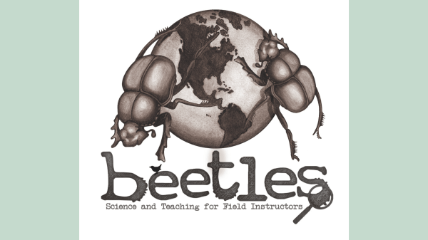 BEETLES logo of two beetles climbing over a small globe