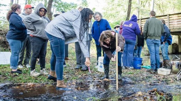 Educators investigate a stream
