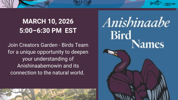 Top of the image has the Natural Curiosity Turtle Logo and the Outdoor Learning School and Store logo. On the right side is the cover of the Anishinaabe Bird Names pamphlet. It lists the webinar date, March 10, 2026 from 5:00-6:30pm EST and has a picture of Joseph Pitawanakwat, Andrés Jiménez and Junaid Khan from Creators Garden Birds.