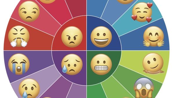 Climate Emotions Wheel show various face emojis with different feelings