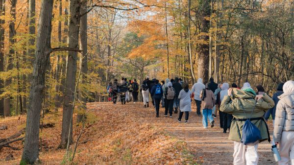 Students at Dundas Valley Park muslim students walking in nature between trees as part of the Greening our Communities Toolkit