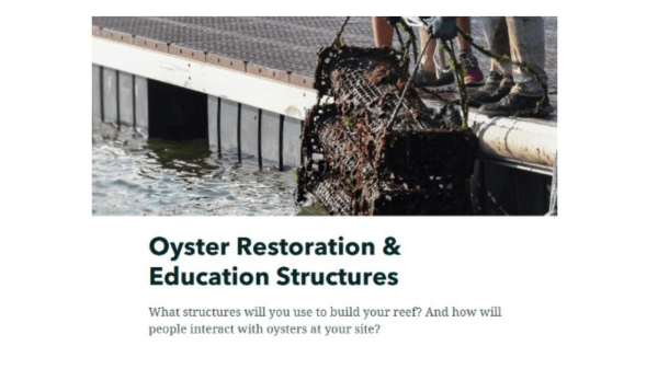 Oyster Cage Image of oyster cage coming out of the water from a curricular resource; text reads "Oyster Restoration & Education Structures, What structures will you use to build your reef? And how will people interact with oysters at your site?"