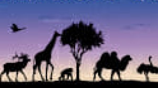 Detroit Zoo logo Image shows the words Detroit Zoological Society in white text on a blue and purple background, with a line of silhouettes in black beneath it depicting animals, tress, and humans.