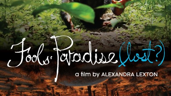 Fools' Paradise (lost?)