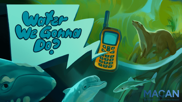 An otter, dogfish, dolphin, and North Atlantic Right whale listen to a shell-phone ask: "Water We Gonna Do?"