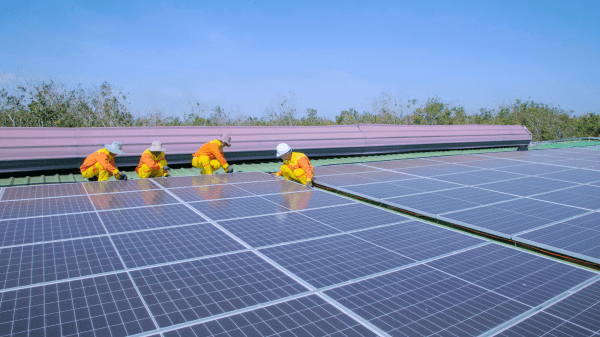 Green Jobs Four people in high-visibility wear kneel behind a solar panel array; behind them are trees and a blue sky