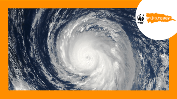 How Do We Identify Climate Change? Severe storm from a sky view bordered by orange; the top right corner includes the WWF logo