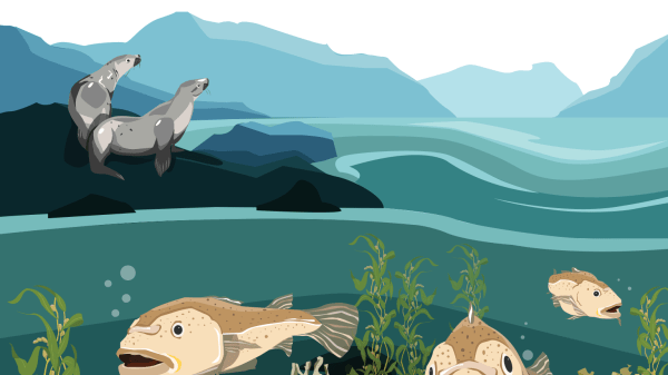 Átl’ḵa7tsem/Howe Sound Education Kit Howe Sound education kit main cover.