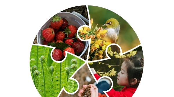 Cover of International Journal of Early Childhood  Environmental Education Addressing Policy, Practice, and Research That Matters,  Volume 13, Number 1