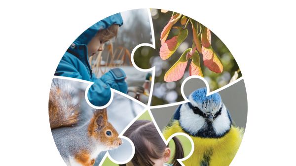 Cover of International Journal of Early Childhood Environmental Education (IJECEE) Volume 12, Number 1