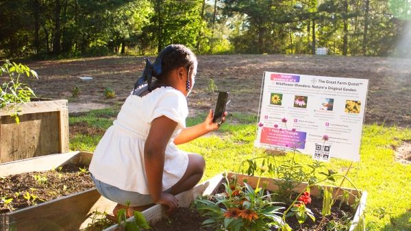 Young student with wildflower garden project