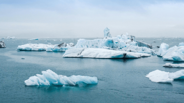Icebergs Scattered icebergs sit atop a calm ocean; a cloudy sky is in the background