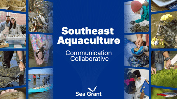 A screenshot of the SACC homepage showing a variety of images of aquaculture in the U.S. Southeast Region.