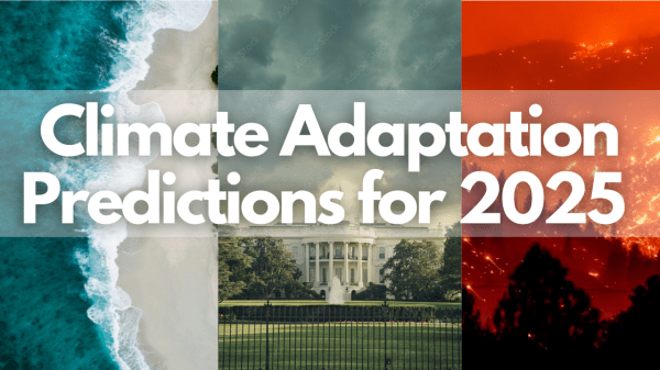 Climate Adaptation Predictions for 2025: What the Experts Say Text reads "Climate Adaptation Predictions for 2025: What the Experts Say"; text is above three photos: a beach, the U.S. Capitol building behind a fence, trees silhouetted by a fire