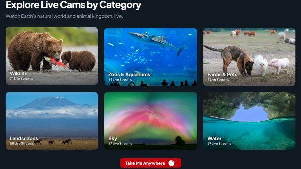 Explore Live Nature & Wildlife Cameras By Category