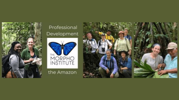 Green background with photos of people studying in a jungle, and the Morpho Institute logo in the middle