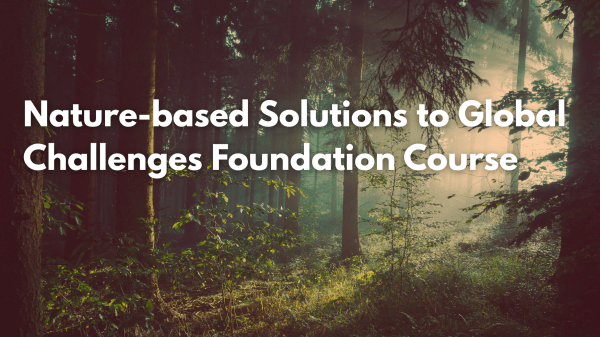 A banner announcing the Nature-based Solutions to Global Challenges Foundation Course over a forest background photo