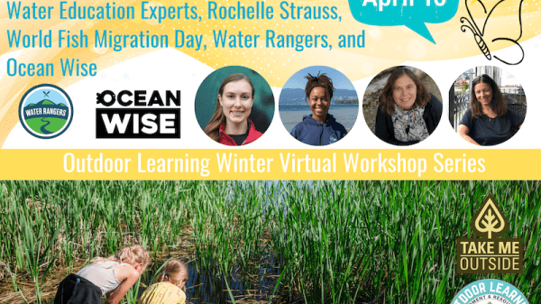 The Wonders of Water: Practical Ideas and Resources for Educators