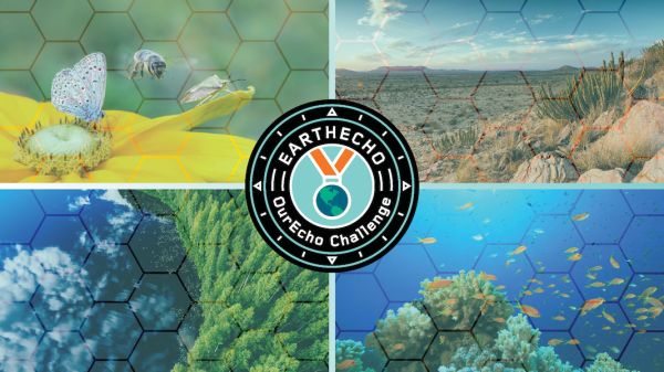 An image depicitng for nature scenes with the OurEcho Challenge program badge in the middle. The nature scenes include: a bee on a flower, a desert scene, a coral reef scene with orange fish, and an aerial image of a forest surrounding a lake. 